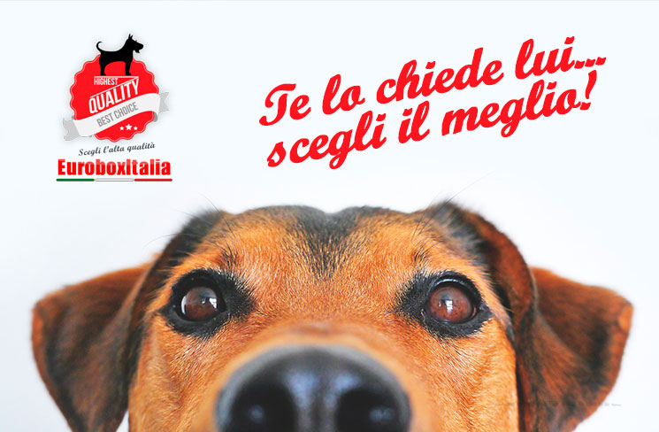 Scopri la qualità dei nostri box per cani