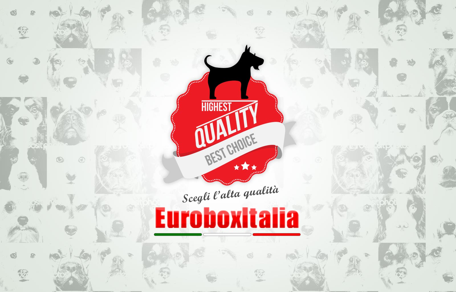 Box - Cani - Italia Box Design