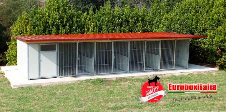 Allevamento amatoriale setter inglesi