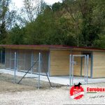 Allevamento per cani amatoriale Ravenna
