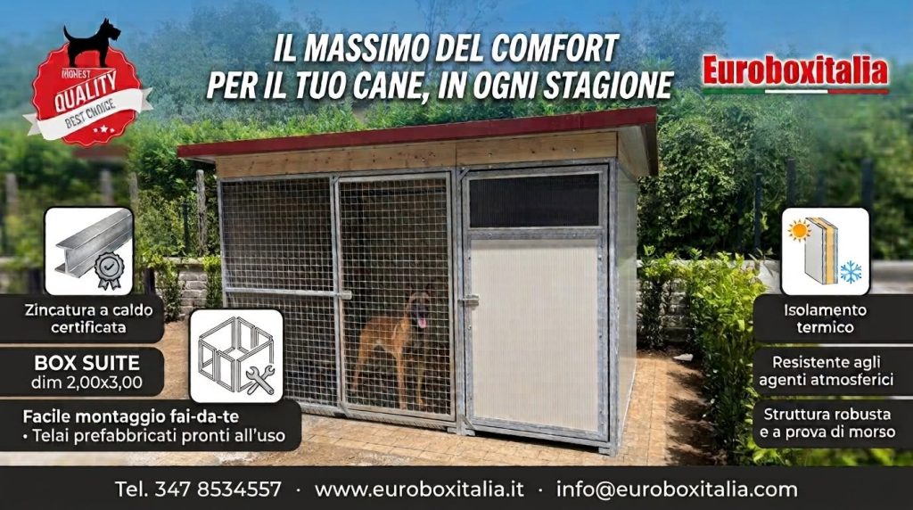 Box suite 2×3: il massimo del comfort per il tuo cane in ogni stagione