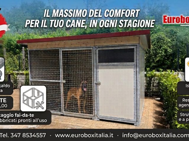 Box suite 2×3: il massimo del comfort per il tuo cane in ogni stagione