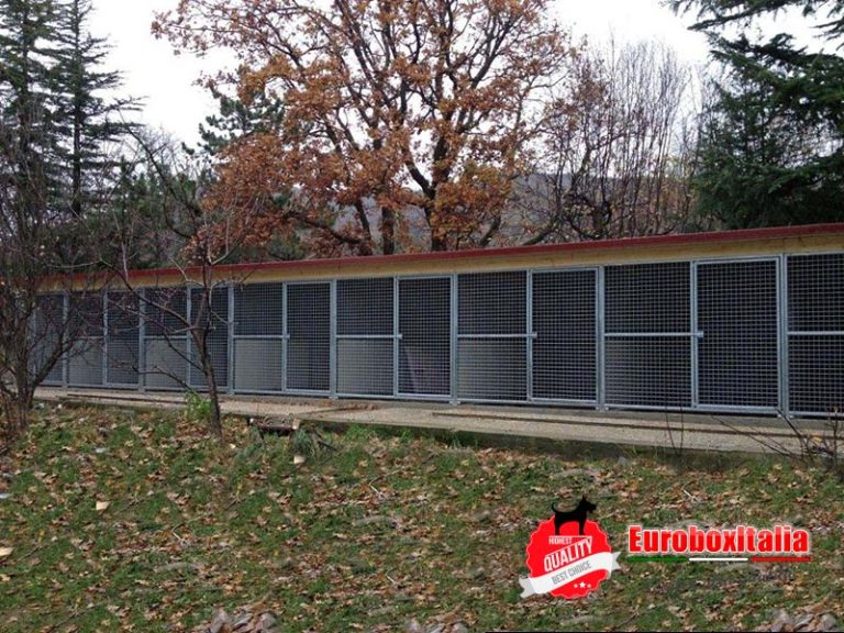 Allevamento amatoriale – Trieste